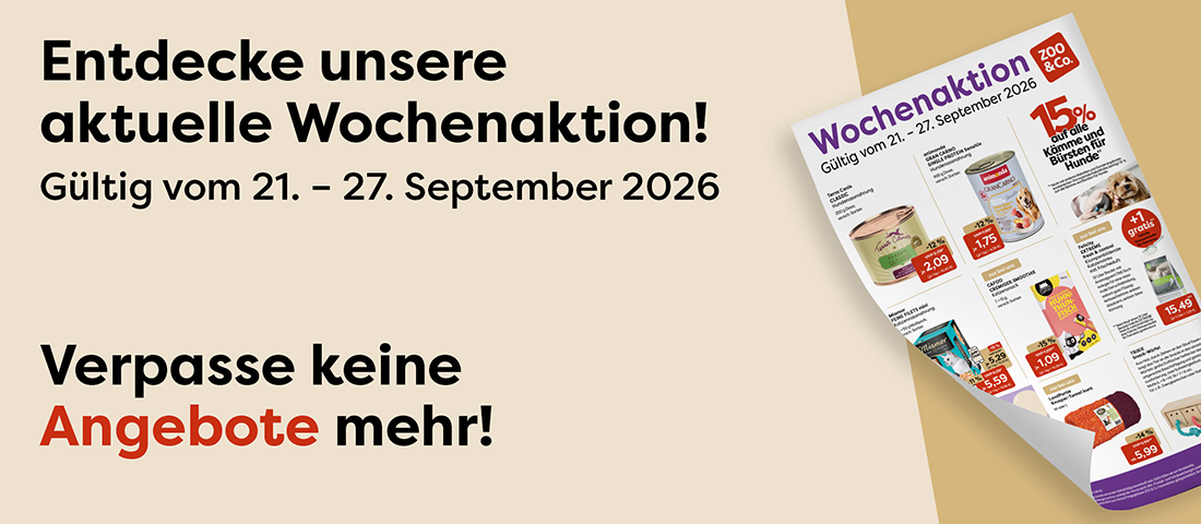 Entdecke die aktuelle Wochenaktion!